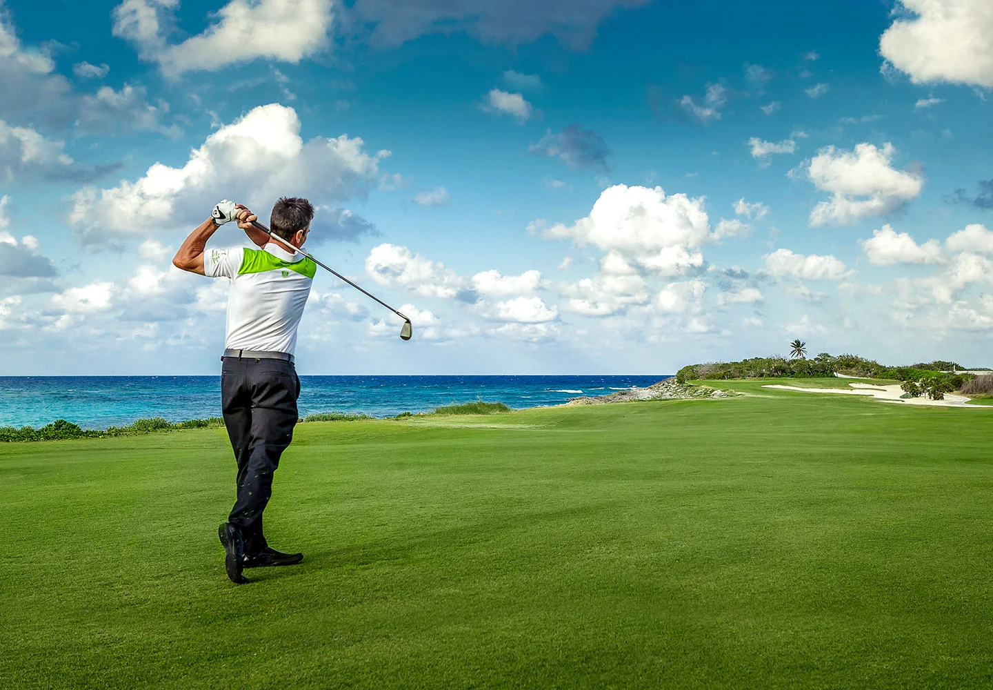 Profesionální golfista na hřišti